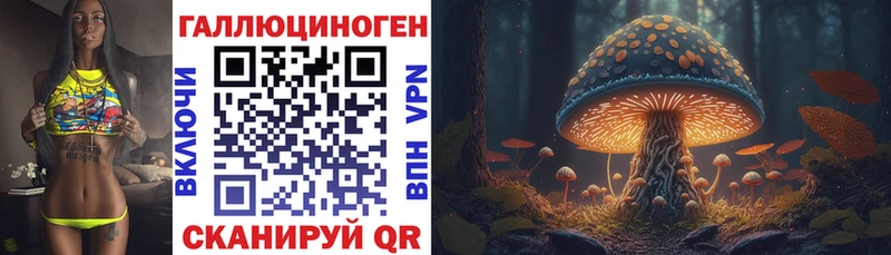 Галлюциногенные грибы Cubensis  купить наркотик  сайты даркнета состав  Ростов  mega ссылка 