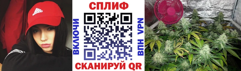 Шишки марихуана сатива  купить наркотики цена  blacksprut ONION  Ростов 